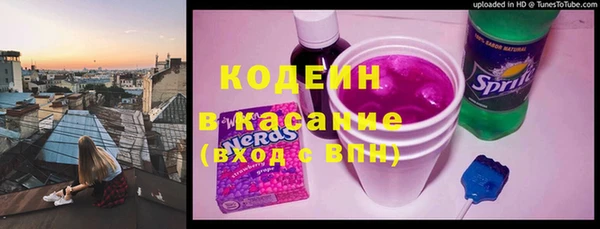ECSTASY Алзамай