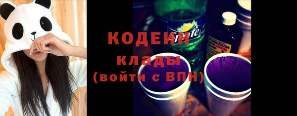ECSTASY Алзамай