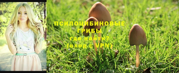 jwh Алексин