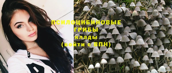 гашик Алексеевка