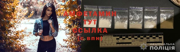 ECSTASY Алзамай
