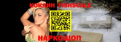 спиды Гай