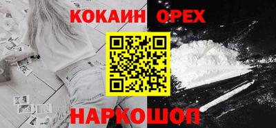 спиды Гай