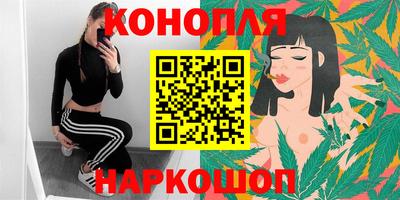 спиды Гай