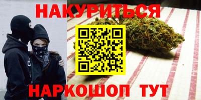 спиды Гай