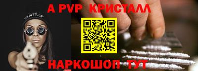 спиды Гай