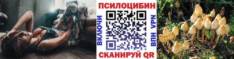 Галлюциногенные грибы мухоморы  продажа наркотиков  Туймазы 